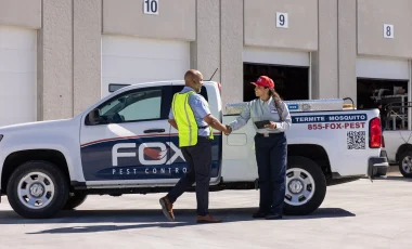 Fox Pest Control Commercial pest control